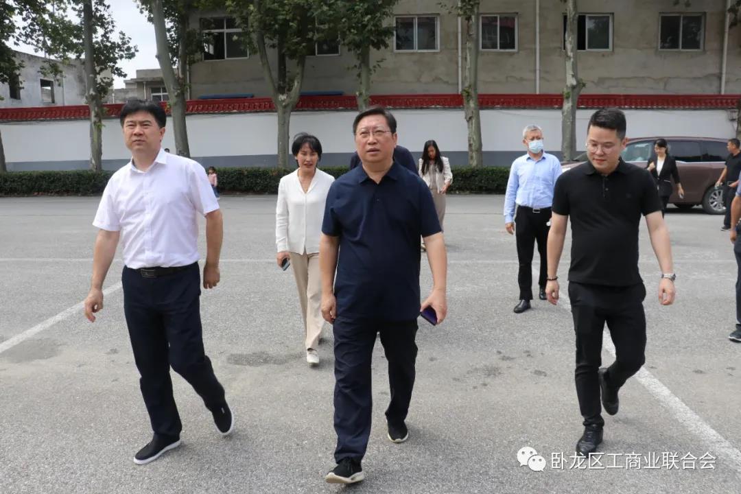 卧龙区马1.jpg