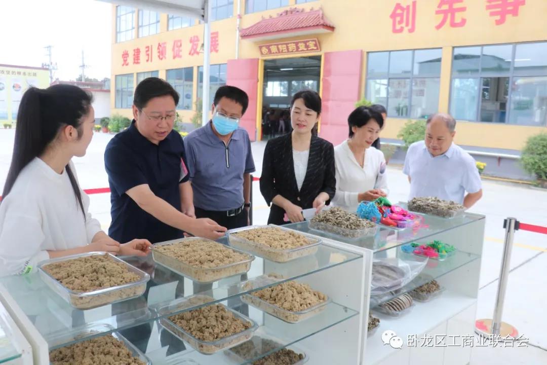 卧龙区马2.jpg