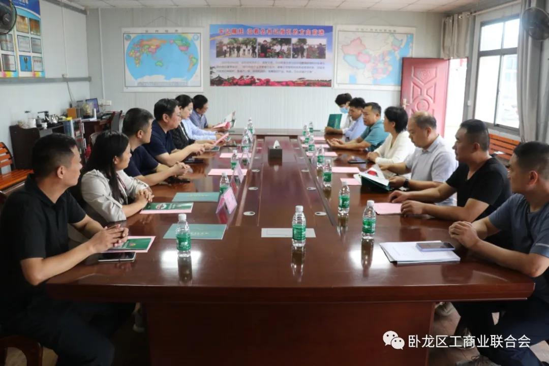 卧龙区马3.jpg