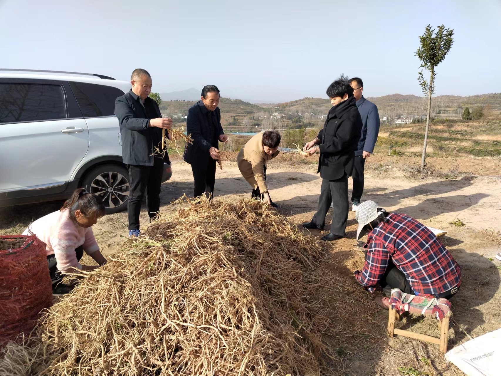 1701044960726337.jpg 图片1.jpg